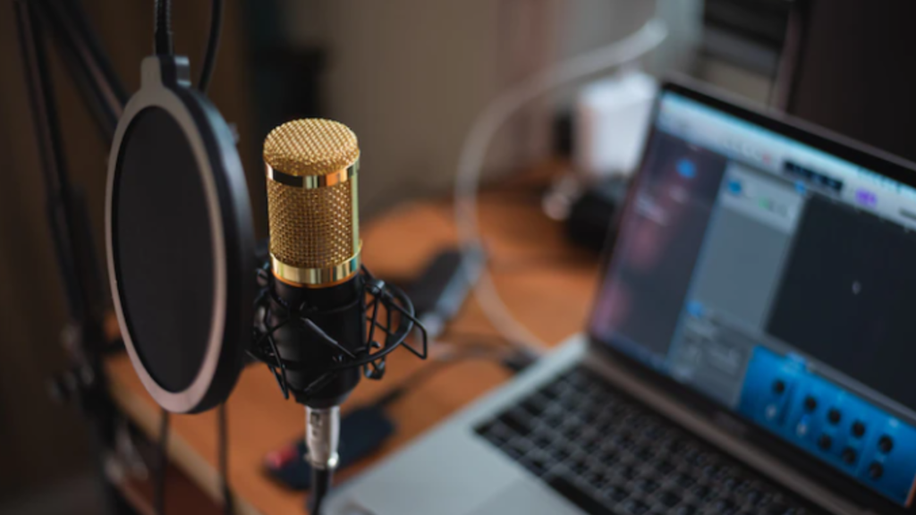 PODCAST PE TEME DE SECURITATE ȘI DEZINFORMARE